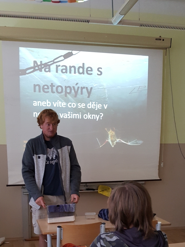 netopyr2017a