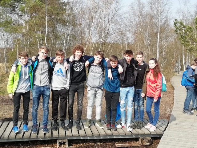 bavor15 2019c