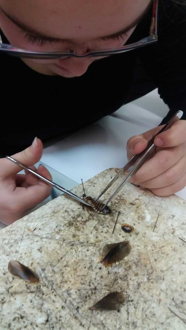 bio1