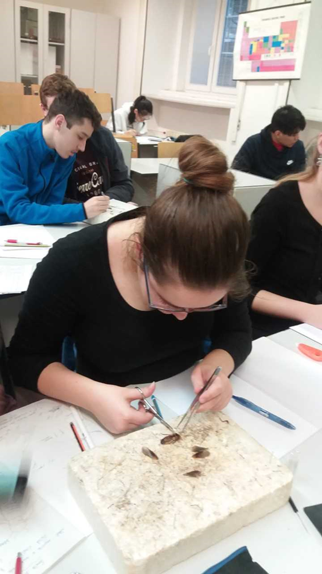 bio2