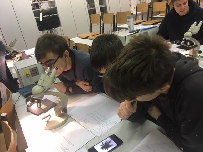bio4