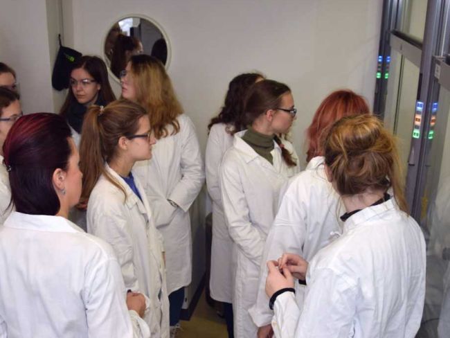 chemuni2