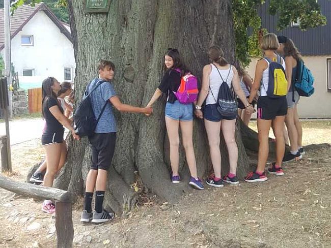 tutti soutred2