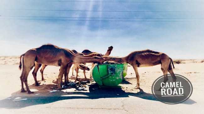 emiraty2