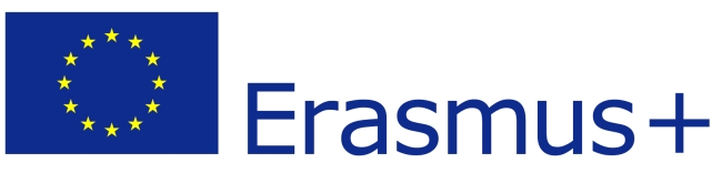 EU flag Erasmus vect POS
